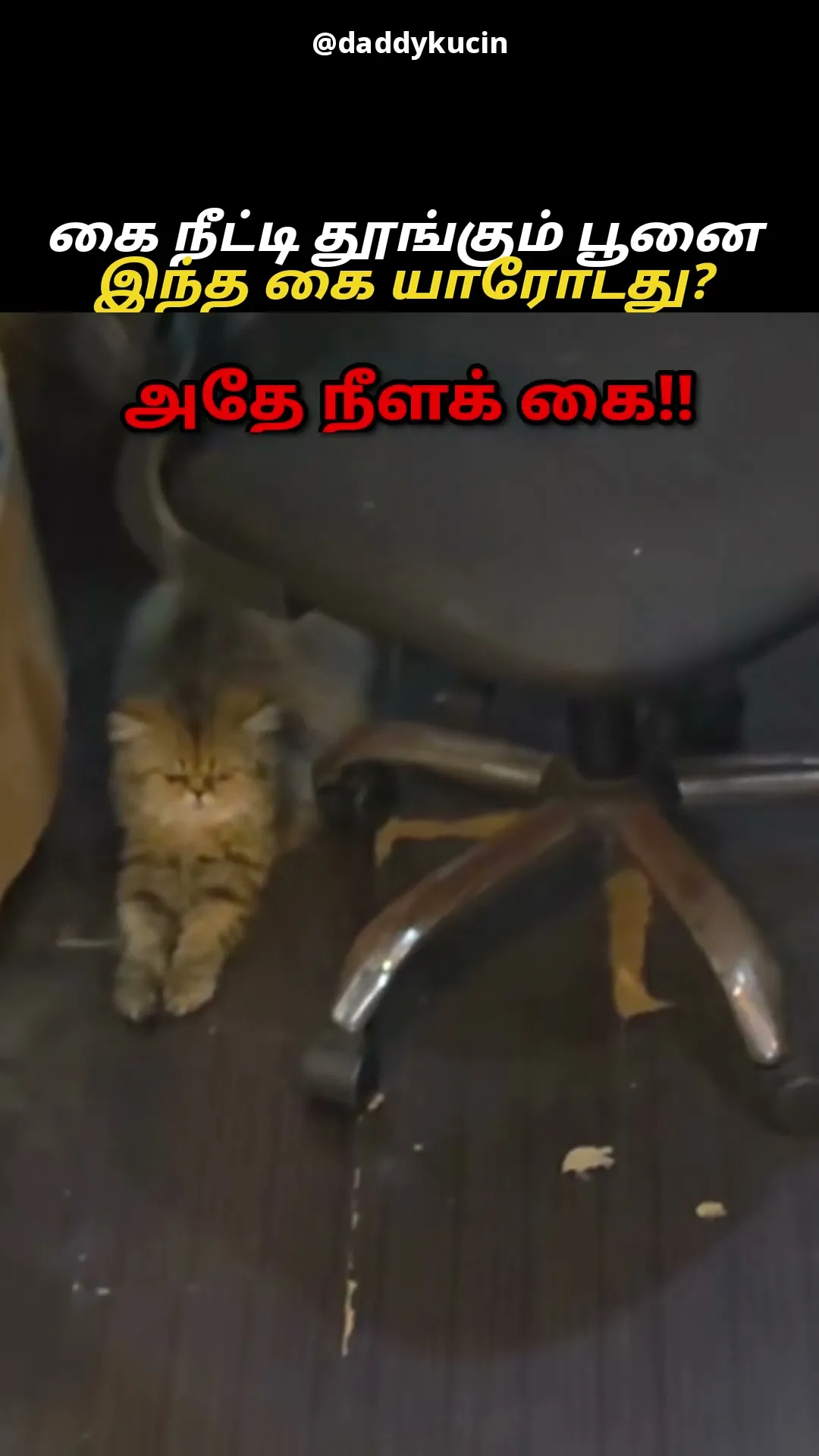 அம்மா மாதிரியே நீளக் கை 😹