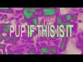 PUP - If This Is It (Visualizer)