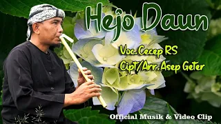 Download LAGU SUNDA ||HEJO DAUN|(Official Musik Video)|CECEP RS.|ciwidey MP3