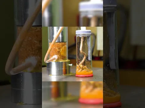 Meatball & Mandarin Smoothie 🤌🍊 Would You Try It?#hydraulicpress #smoothie #weirdfood