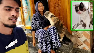IGNORING MY CAT FOR A DAY NIKKI BECAME SAD