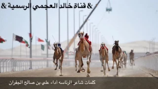 شيلة هجن الرئاسة دندنها