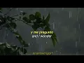 Creedence Clearwater Revival - Who'll Stop The Rain (Sub. Español / Lyrics)
