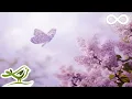 Download Lagu 8 Hours of Relaxing Sleep Music: Soft Piano Music, Sleeping Music, Meditation Music, Fall Asleep ★89