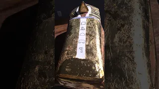 O sarcófago da minha MÚMIA de galinha!