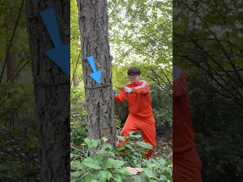 Pocket chainsaw