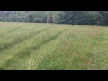 IMG 0293