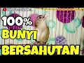Download Lagu Suara pancingan ciblek sawah ombyokan biar cepat nembak gacor