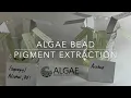 Algae Research and Supply Algae Beads Pigment Extraction project Copy Paper vs Engineering Paper