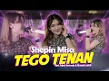 Download Lagu Tego Tenan - Shepin Misa (Official Music Video) | Dewi Persik | Sing Penting Aku Wis Tau Tulus