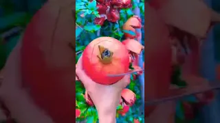 فاكهة الرمان Shorts قصص 