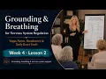 Week 4 Lesson 2 Grounding And Breathing For Autoimmune Healing
