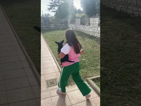 Sofia este surprinsă 🙉