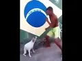 Brazil viral video