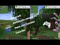 Minecraft Multiplayer Split screen Tela dividida no PC JAVA com Joystick