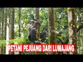 Download Lagu PETANI PEJUANG DARI LUMAJANG | INDONESIAKU (23/09/25)
