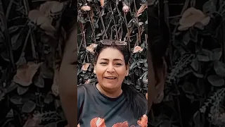 ٨ سبتمبر ٢٠٢٥ 