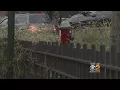 Brooklyn Drivers Say Hidden Fire Hydrant Is Creating Ticket Trap
