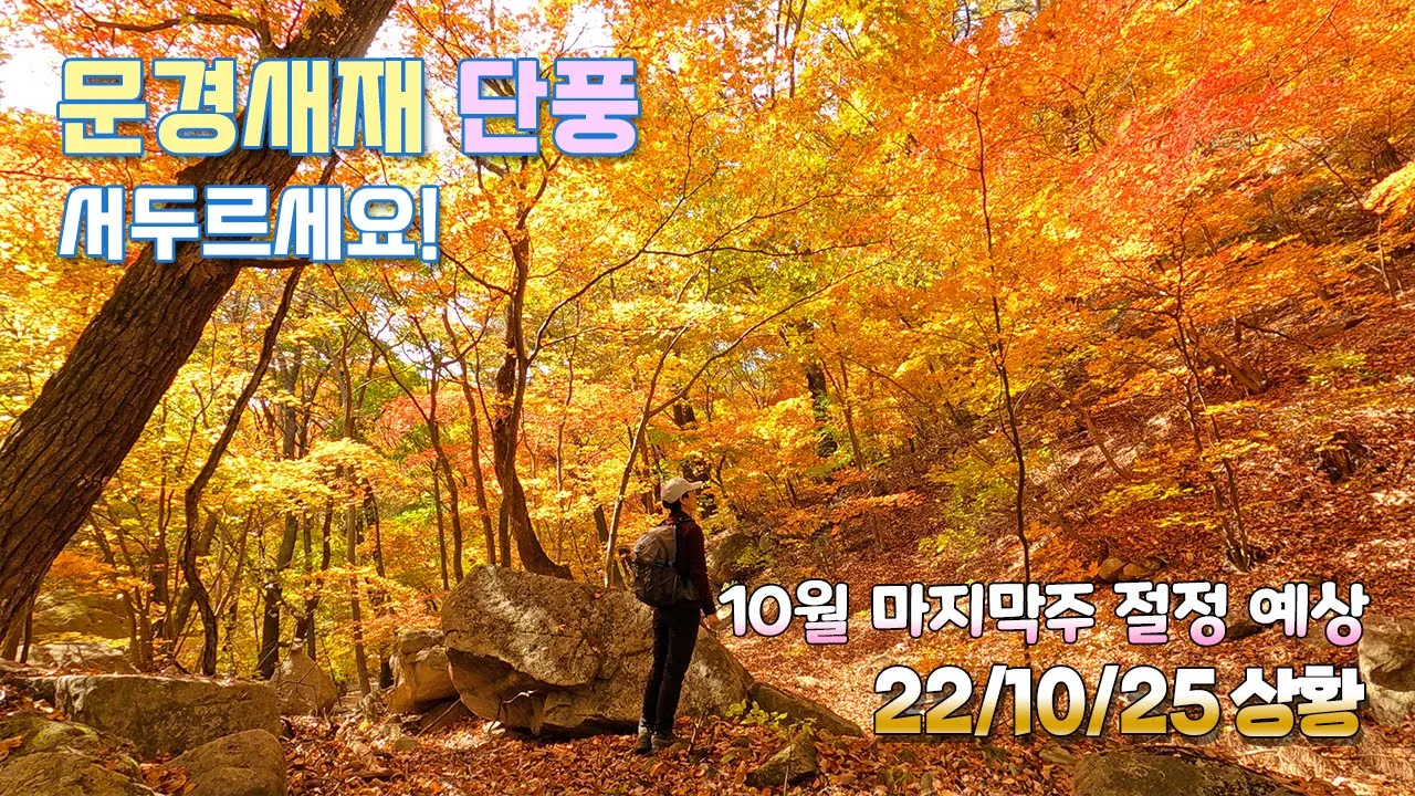 문경새재 단풍 지금 바로 서두르세요 | 10월 마지막주 절정 예상 | 한국의 아름다운 길 선정 | 걷기 쉽고 단풍도 좋고 | 22.10.25 촬영 サムネイル