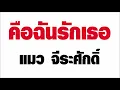 คือฉันรักเธอ แมว จีระศักดิ์