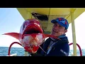 Download Lagu MANCING MANIA | EKSPLORASI BAHARI INDONESIA (14/03/20) Part 1