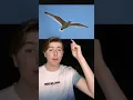 Channel