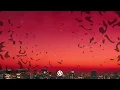 Doja Cat, Tyga - Juicy (Lyrics)