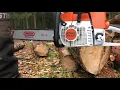 Stihl MS 361