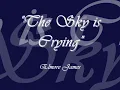 Elmore James  The Sky is Crying