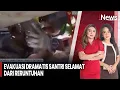 Download Lagu Evakuasi Dramatis Santri Selamat Dari Reruntuhan | iNews Sore (02/10)
