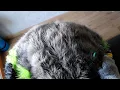 Plush inflation POV