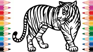 How to Draw Tiger Coloring Pages for Kids Drawing and Learn Colors for Kid Toddlers
