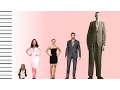 How Tall Is Kat Dennings - Celebrity Height Comparison