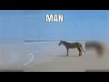 man horse and co teachings at philosophical beach meme
