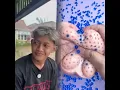 Download Lagu 🤣👌👌👌2025 pov Must-Watch Crazy Clips Compilation #humor #fypシ #pov #fyp #foryou 😍😜