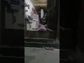 Download Lagu Itiknya bunyi wek-wek😂