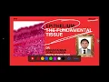 Epithelium Histology Explained Types Specializations Exam Questions Medical School
