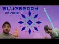 BLUEBERRY ONE OF THE BEST STRAINS BEST INDICA 2000 HIGH TIMES CANNABIS CUP PURPLE THAI X THAI