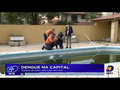 Dengue na Capital: número de casos dobra em dez dias