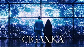 EMIR BRUNCEVIC - CIGANKA (OFFICIAL VIDEO)