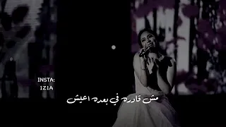 يا ليلي رحلو عن شوقي وناري احكيلو 