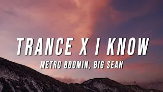 Metro Boomin Big Sean - Trance X I Know TikTok Mashup