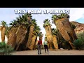 I was wrong about PALM SPRINGS 3 days on a 300 budget