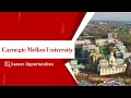 Full-Time Job at Deloitte Consulting Business Technology Analyst at CMU