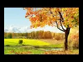 [Nightcore] Thy Will by Hillary Scott & The Scott Family