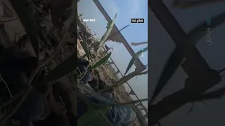 رصاص يستهدف كل من يرفع رأسه 