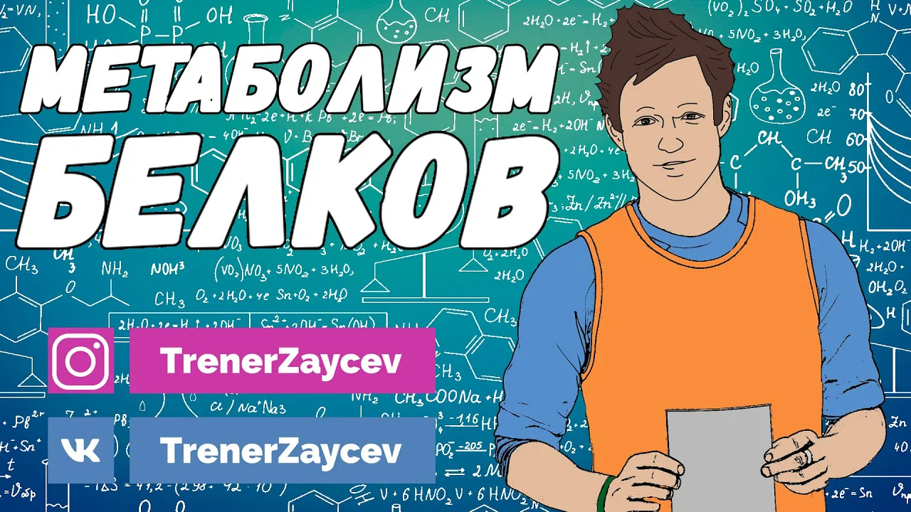 03. Метаболизм белков