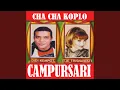 Download Lagu Pengen Ngombe