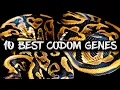 The Top 10 Codominant Genes in Ball Pythons