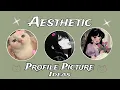 Aesthetic Profile Pictures Ideas Cute Profile Pictures Ideas Cartoon Profile Pictures Ideas